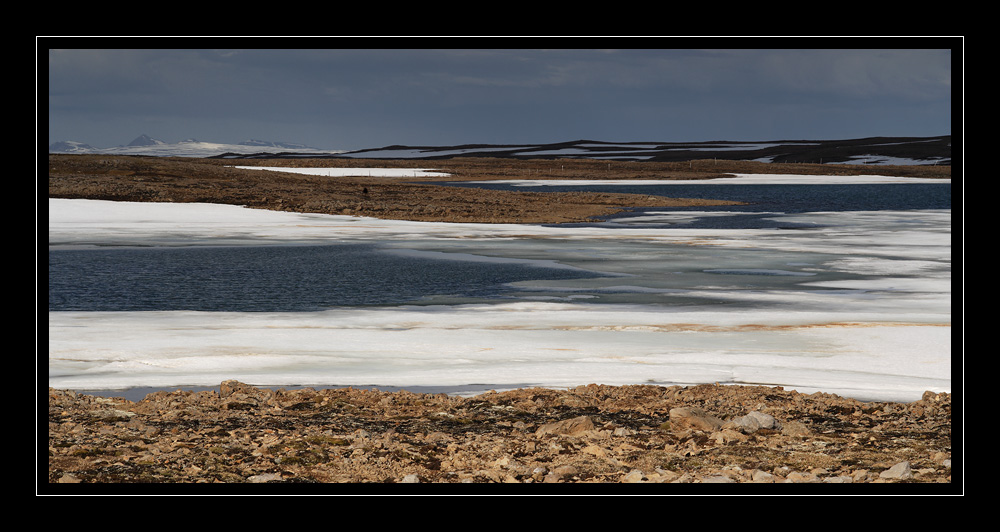 Westfjorde #14535