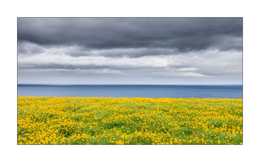 Fruehlingslandschaft #32552