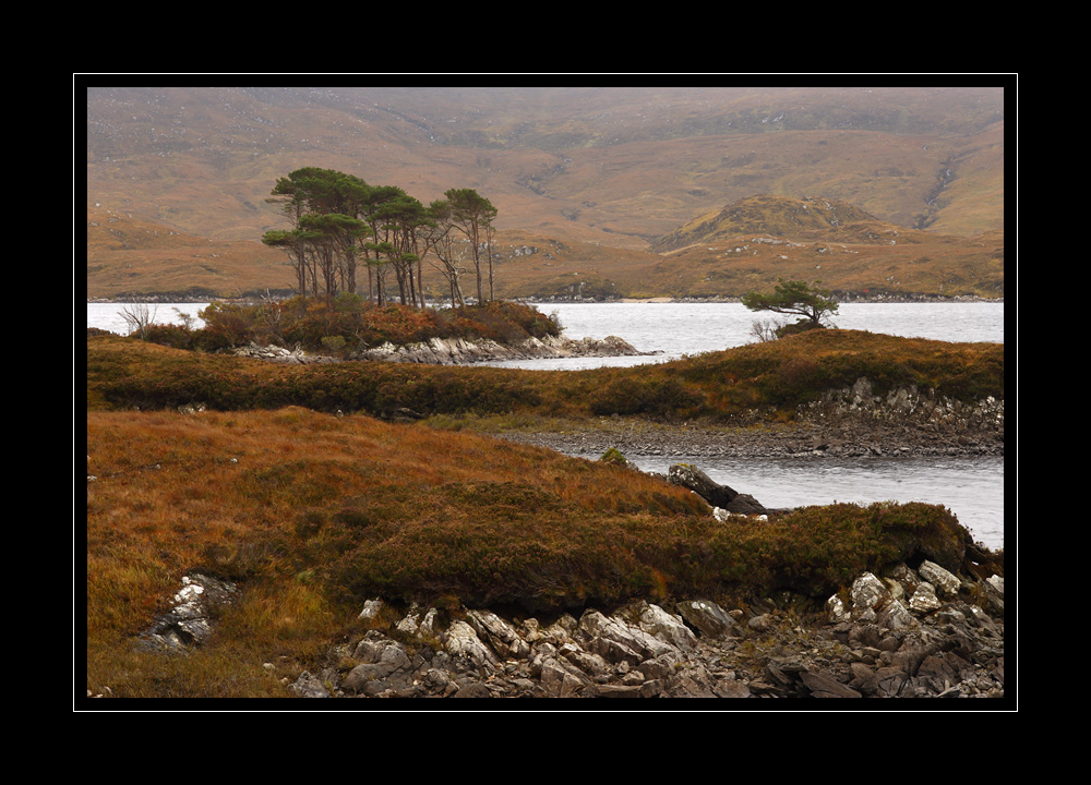 Schottland #10454