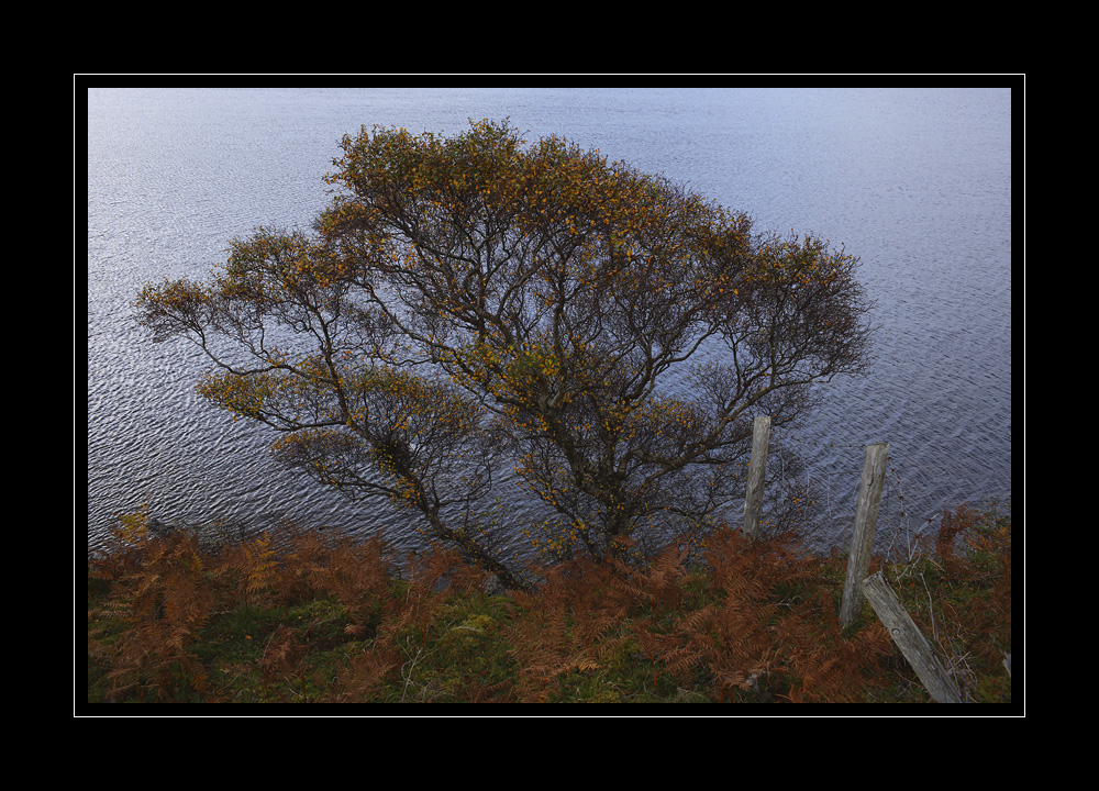 Schottland #10827