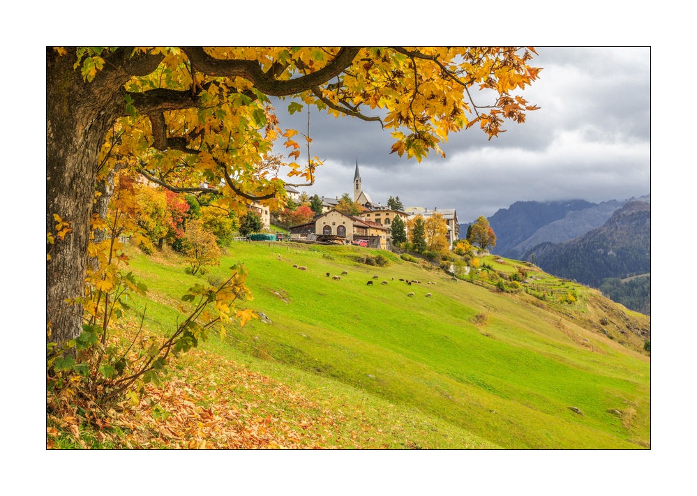 Guarda #36688