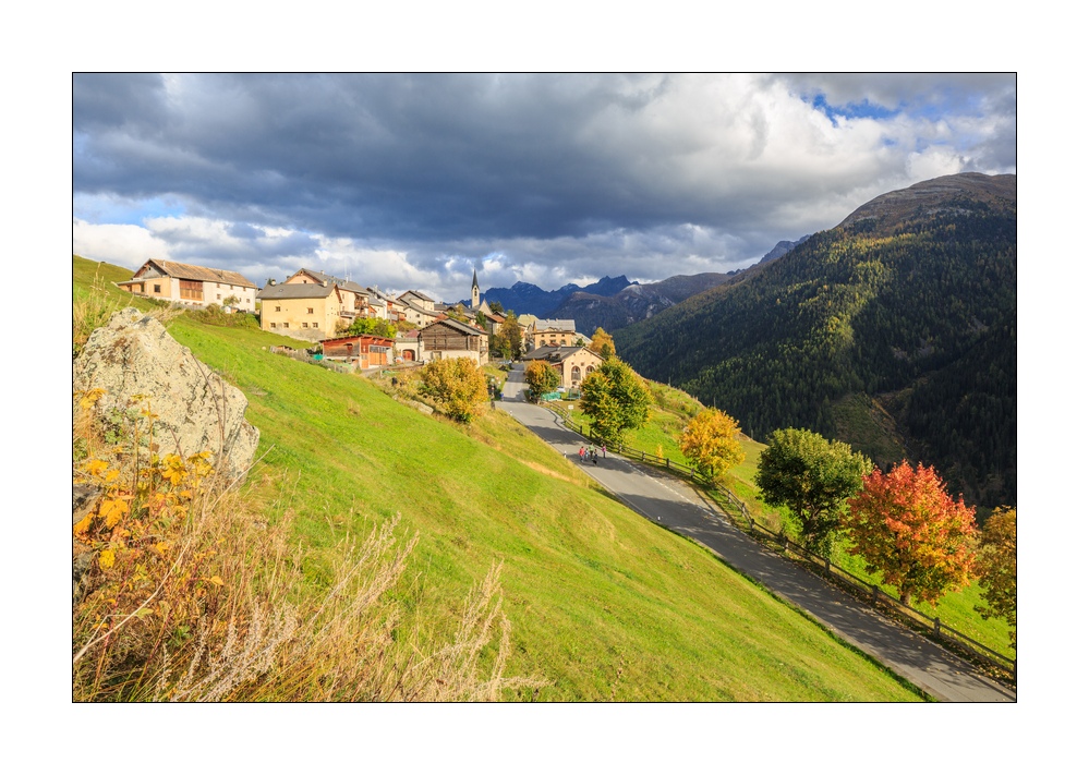 Guarda #36766