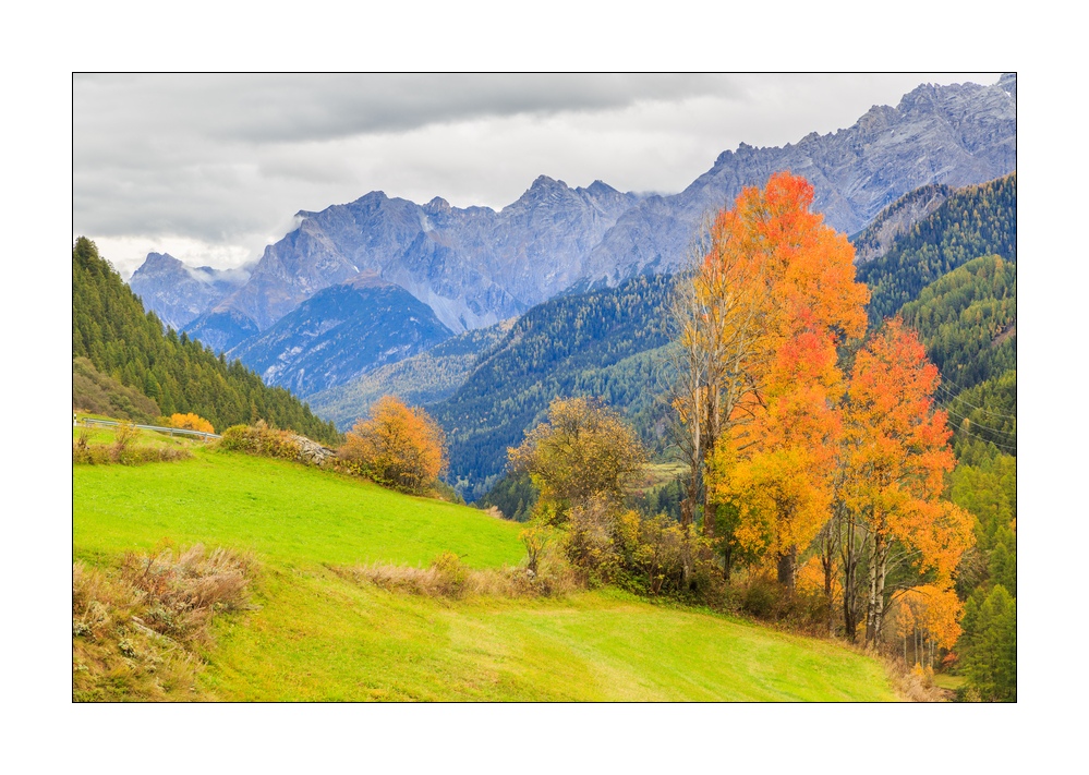 Herbst #37100