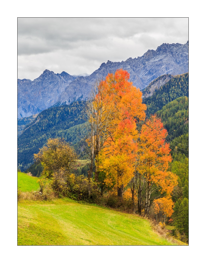 Herbst #37106
