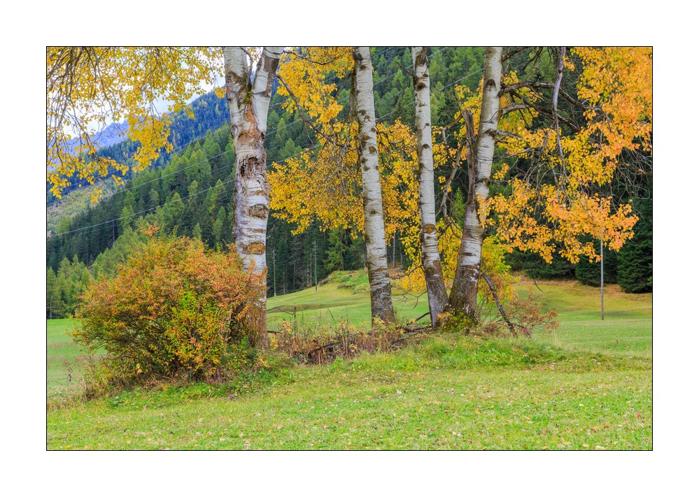 Herbst im Engadin #37075