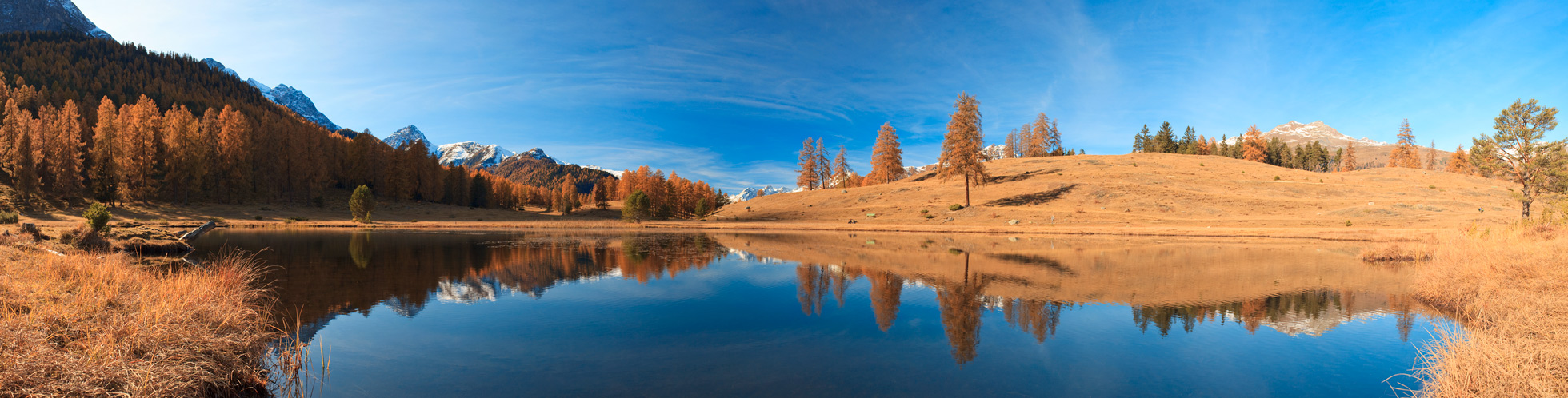 Lai Nair Pano #25524