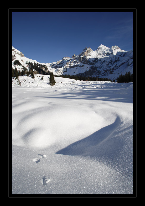 Oeschinensee #2309