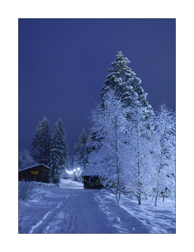Winternacht in Kandersteg #26264b