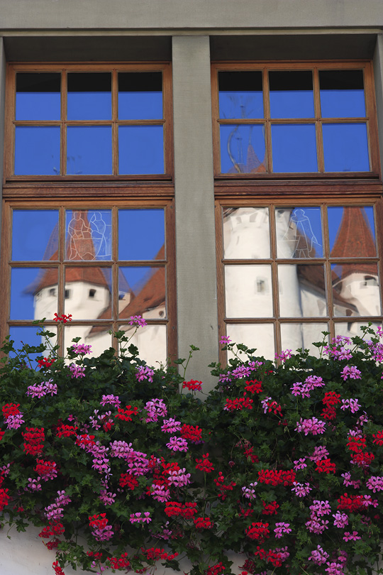 Schloss Thun #9174