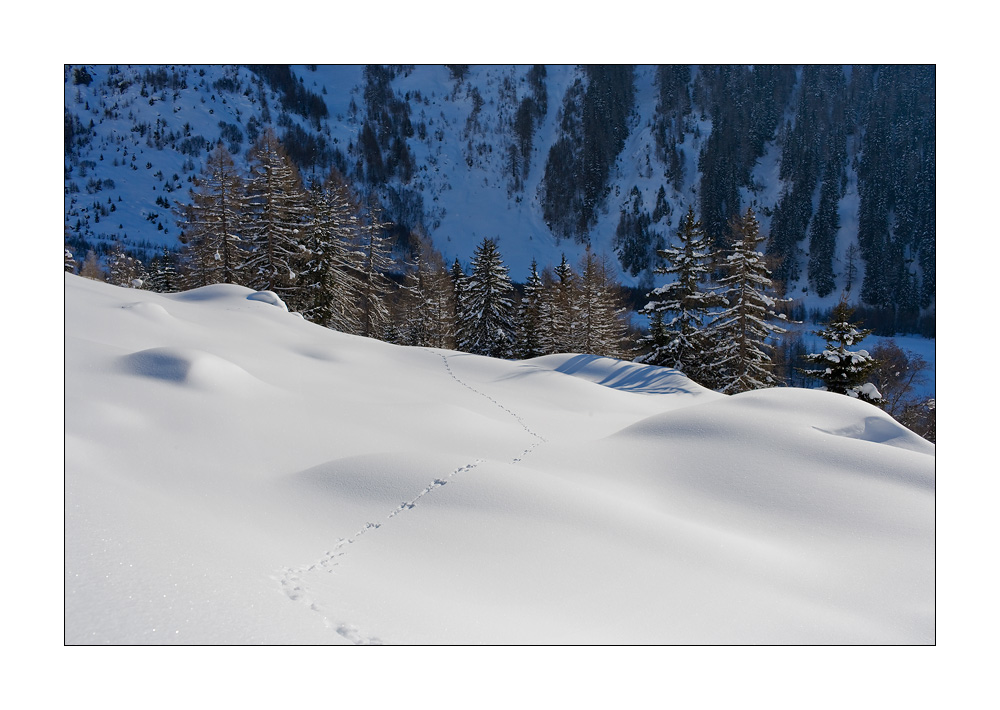 Oberwald #17850