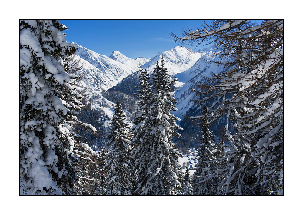 Oberwald #17876