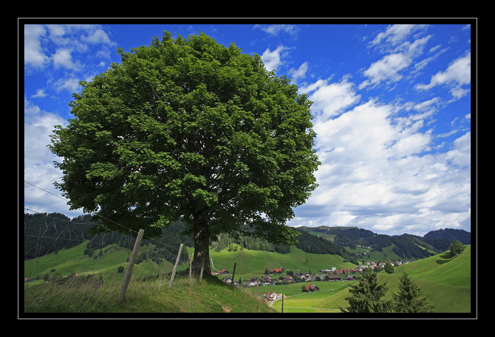 Escholzmatt #3618