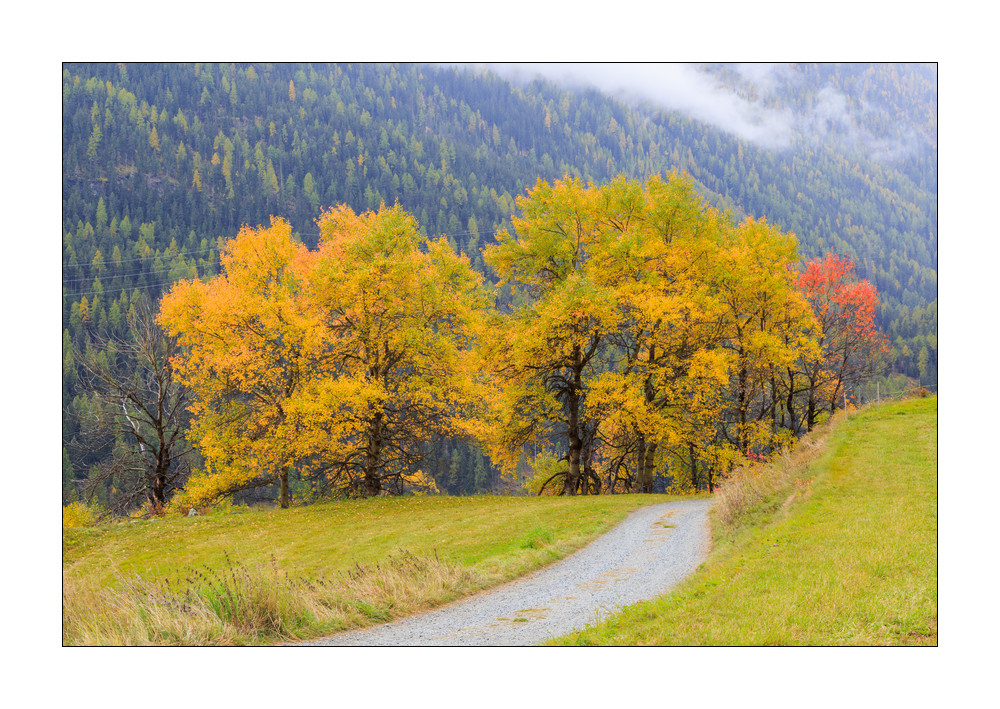 Herbst im Engadin #37026