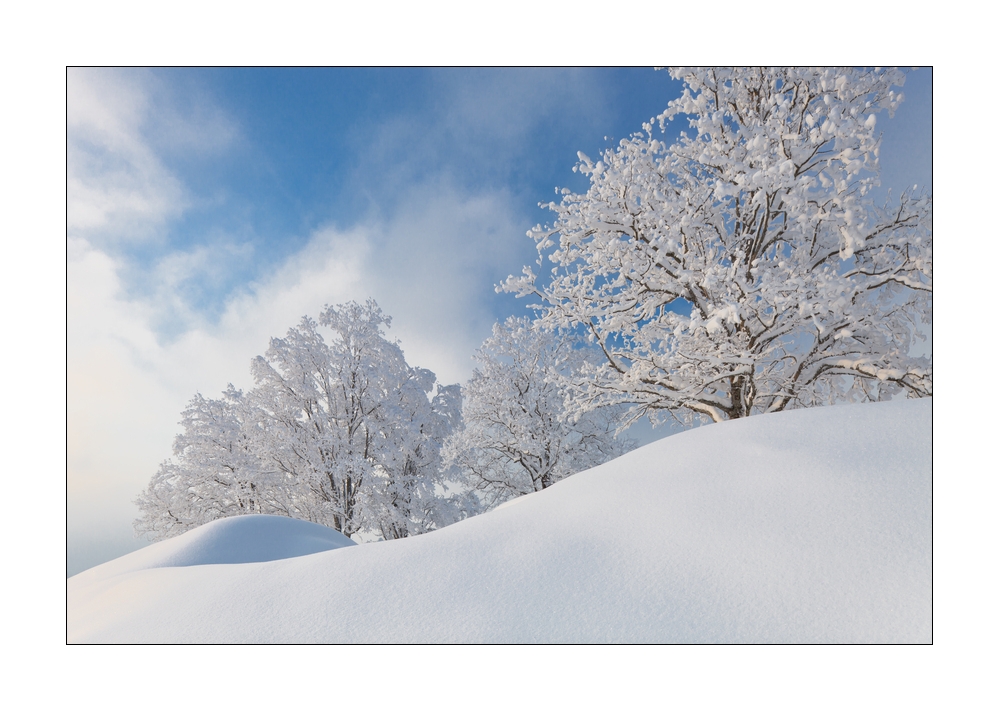 Winter im Eigental #25950