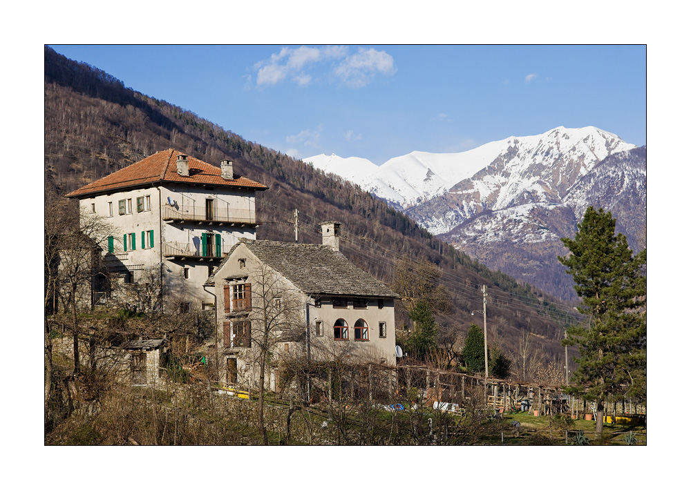Centovalli Pila #18128