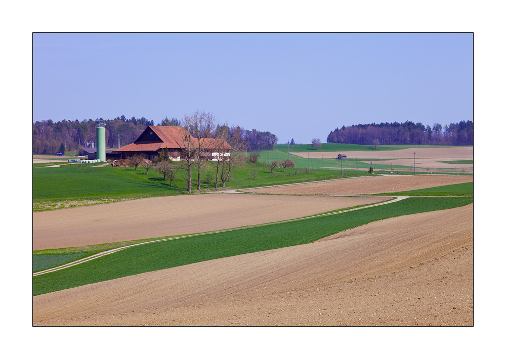 Ossingen #20071