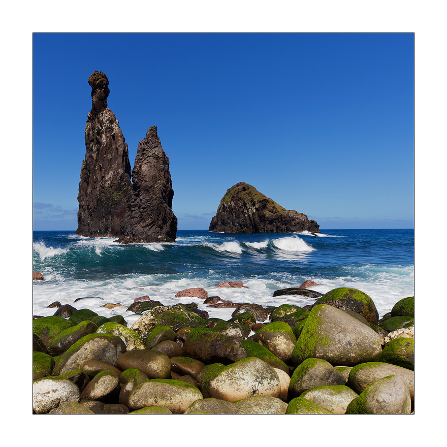 Madeira Ribeira da Janela #20434Q