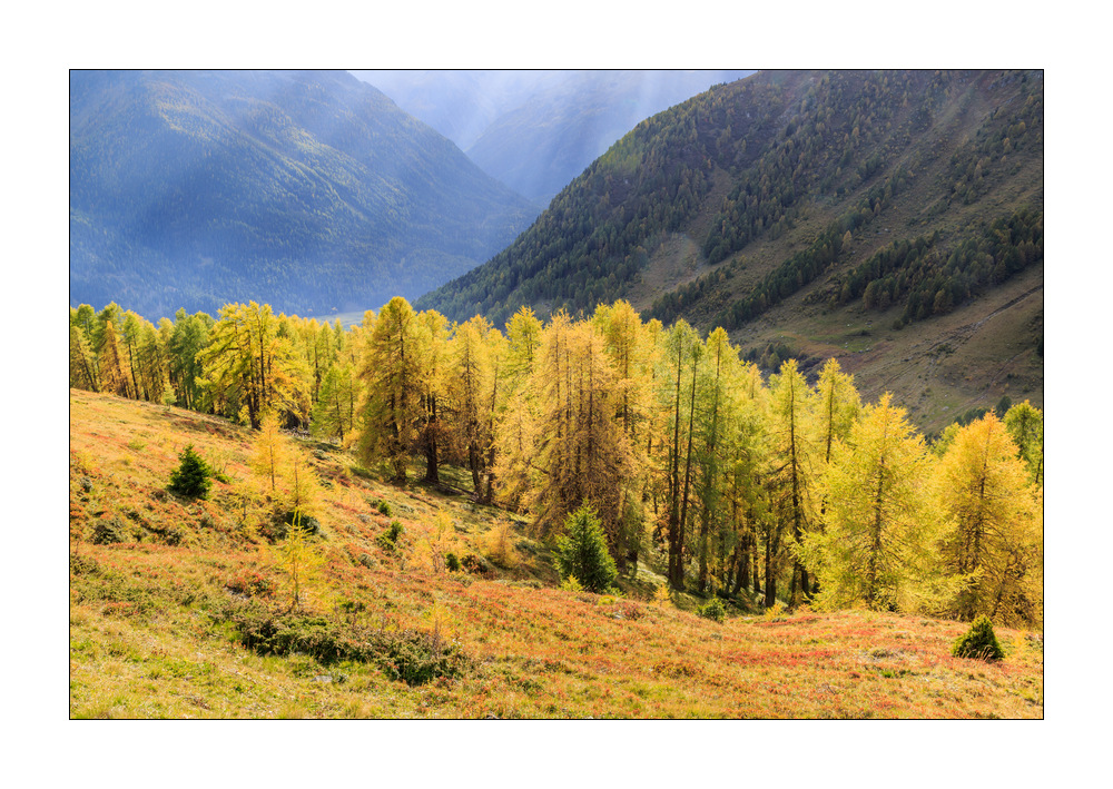 Val Tuoi #336878