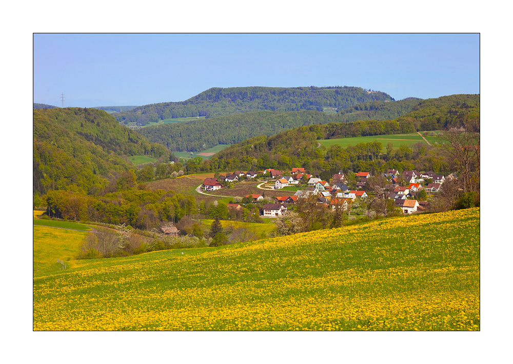 Anwil #20942