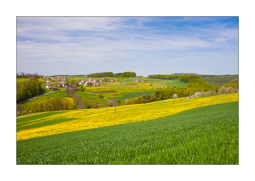 Kilchberg #20980
