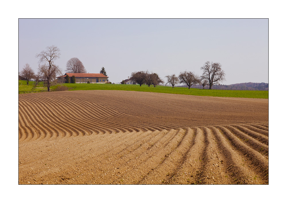 Ossingen #20076
