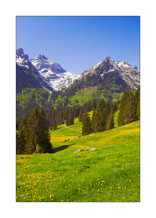 Voralp #21075