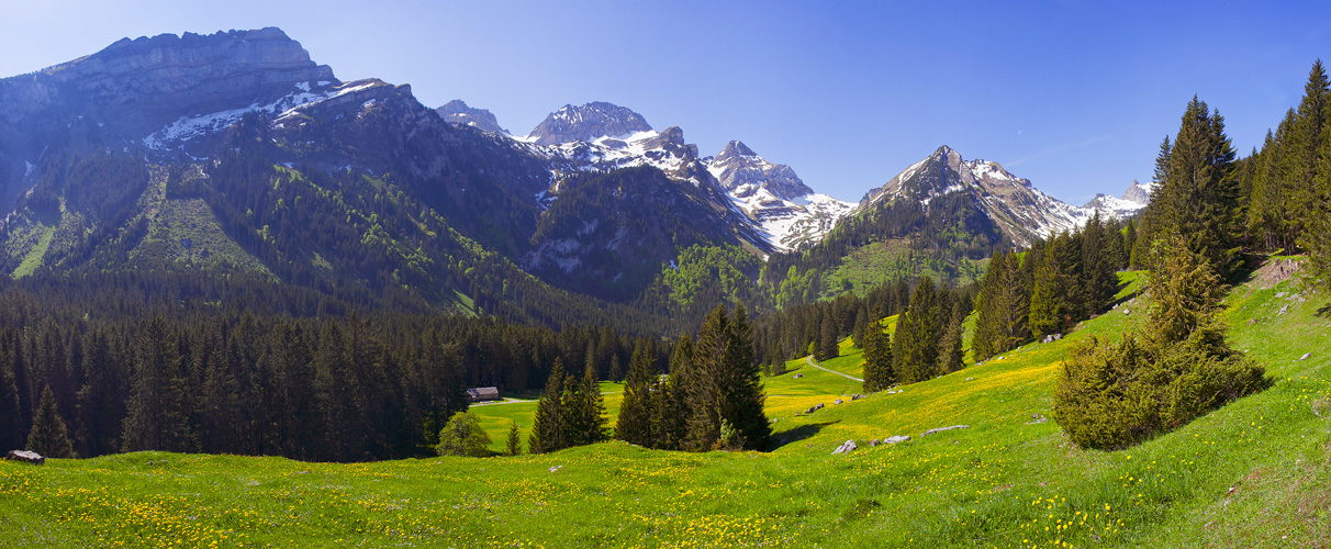 Voralp #21077