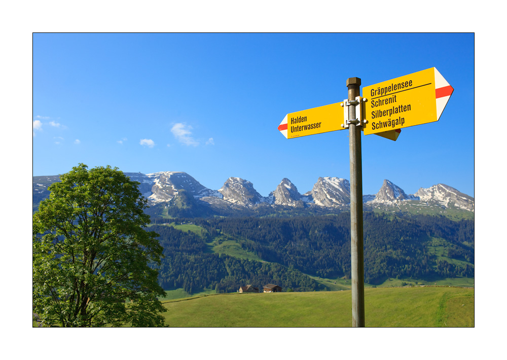 Wanderwegweiser im Toggenburg #32335