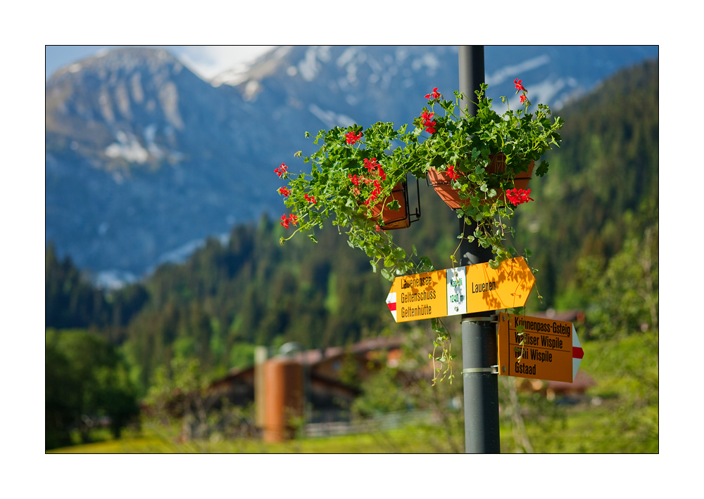 Wanderwegweiser Lauenen #21529