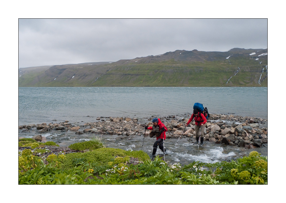 Hornstrandir #L00077