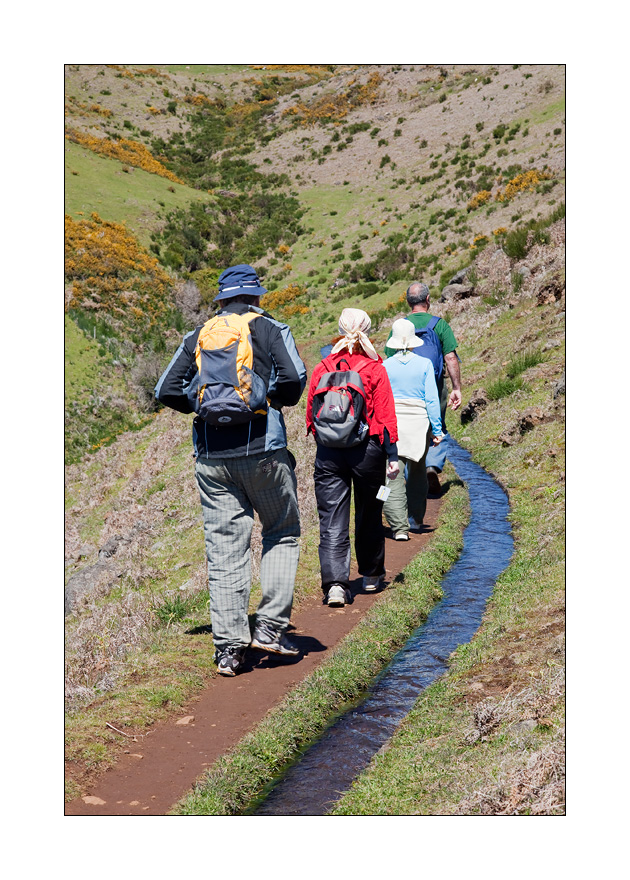 Madeira #20663