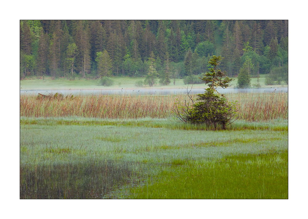 Lauenensee #21442