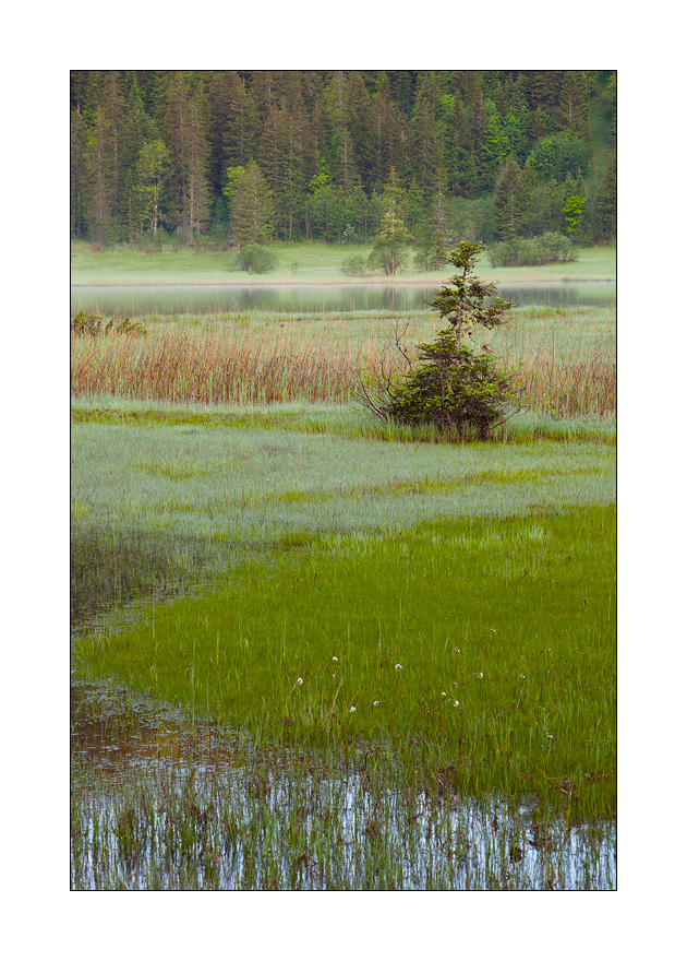 Lauenensee #21447