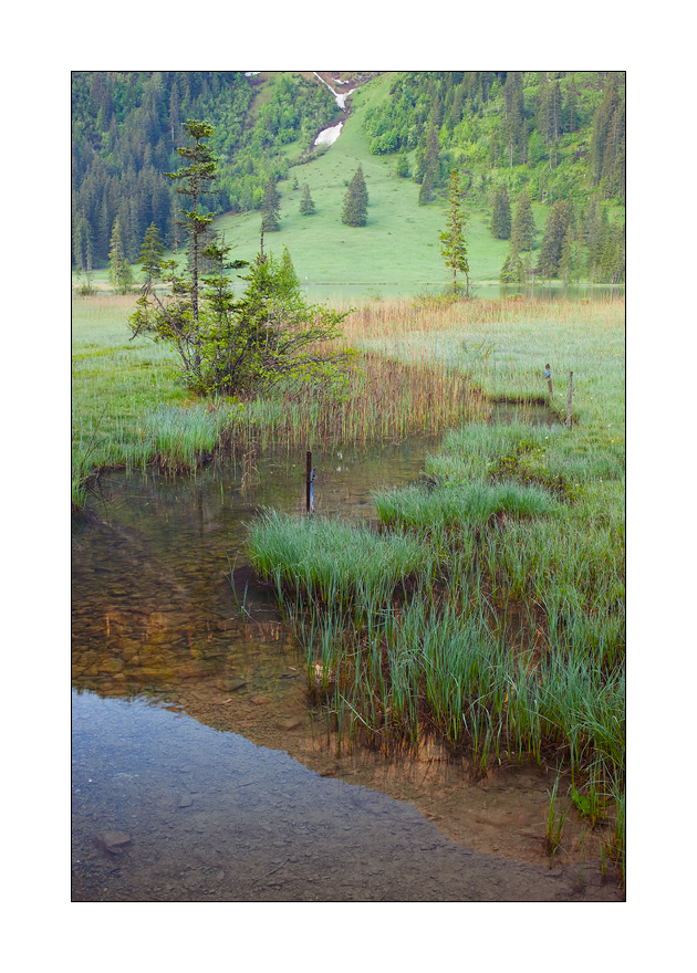 Lauenensee #21459