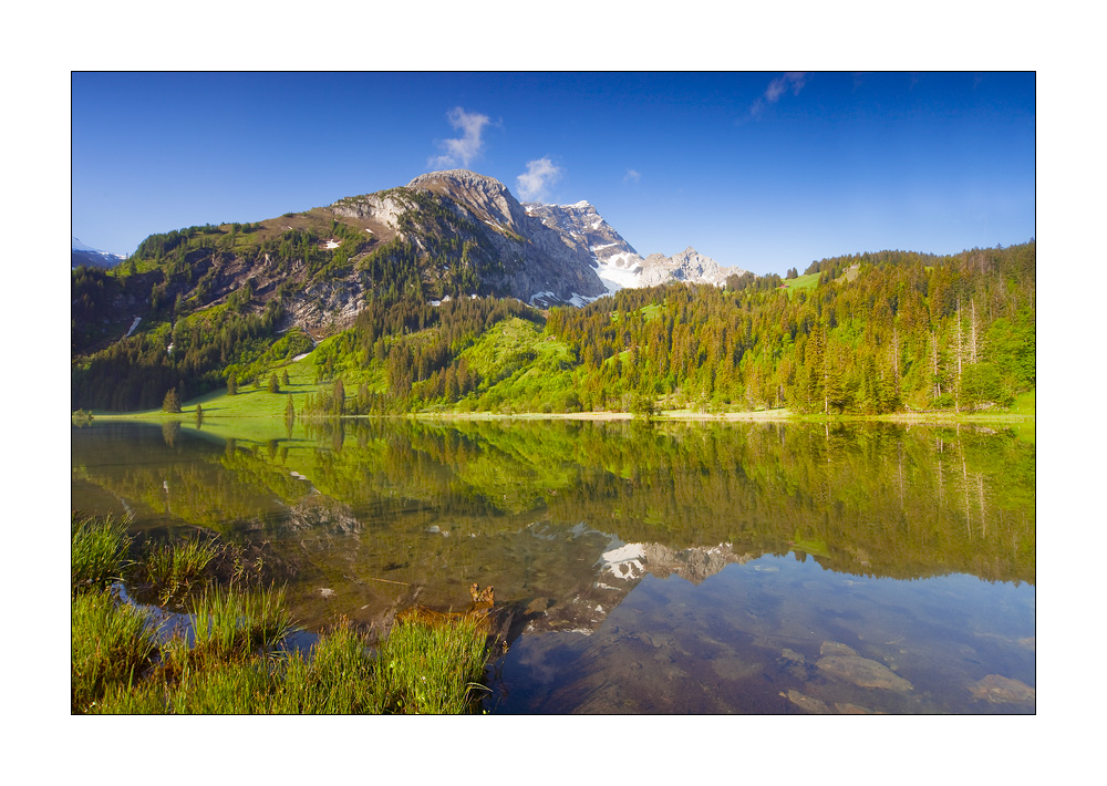 Lauenensee #21508