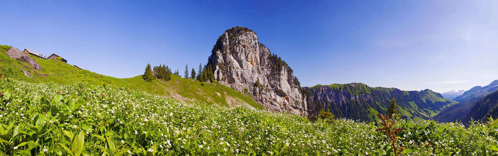 Holzerstock Pano #21921
