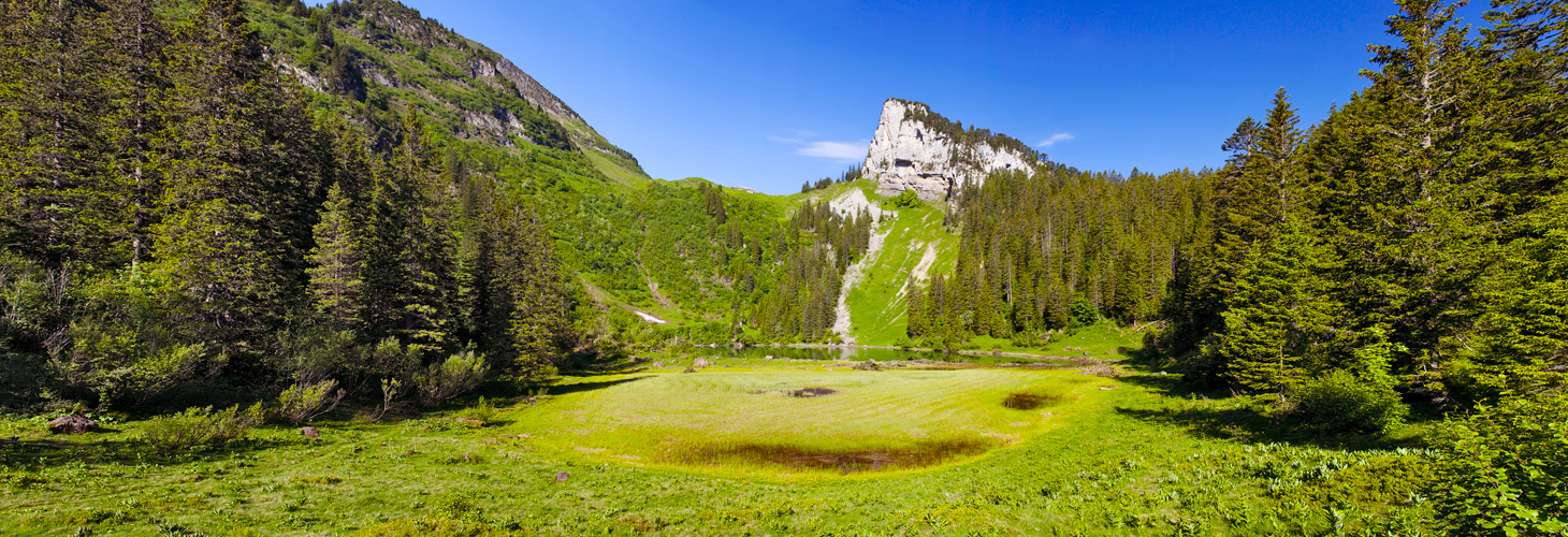 Alplersee Pano #21890