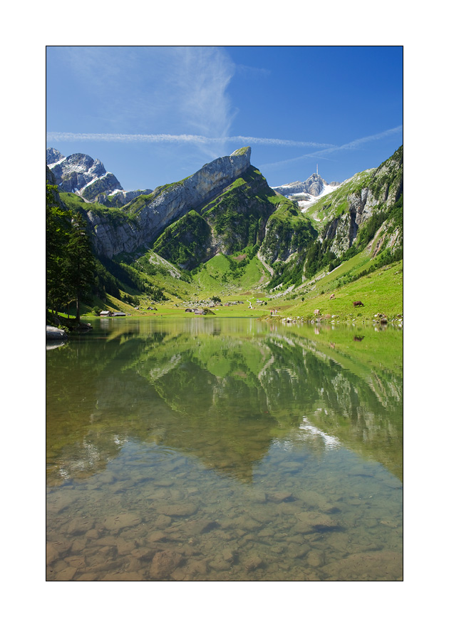 Seealpsee #22340