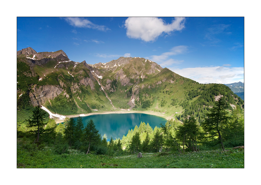 Tremorgiosee #22251