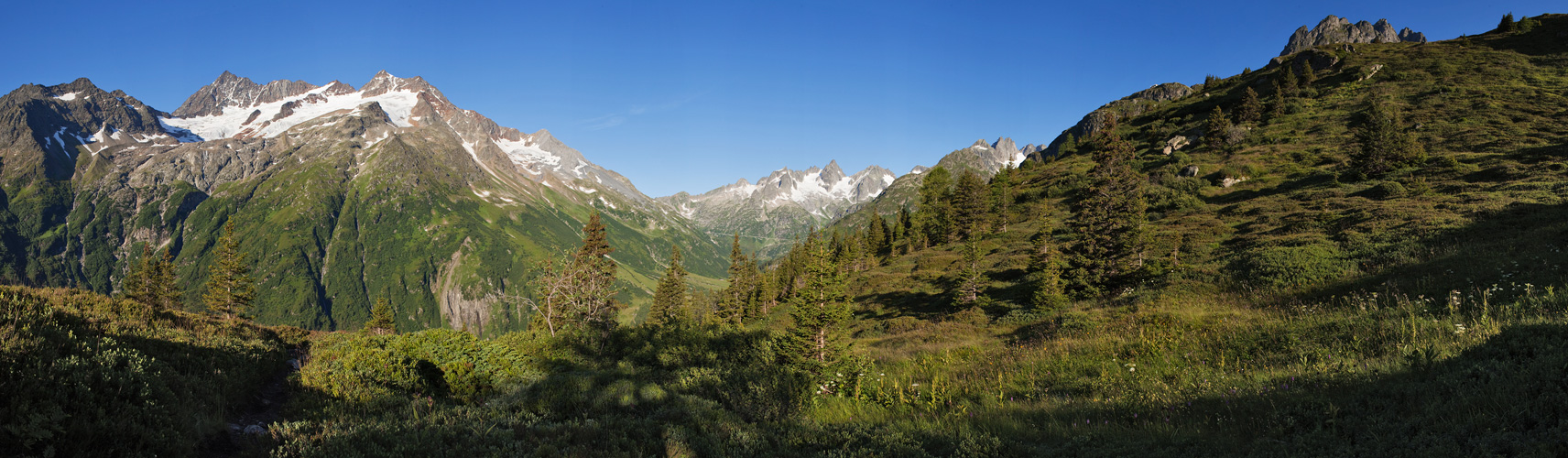 Meiental Pano #22529