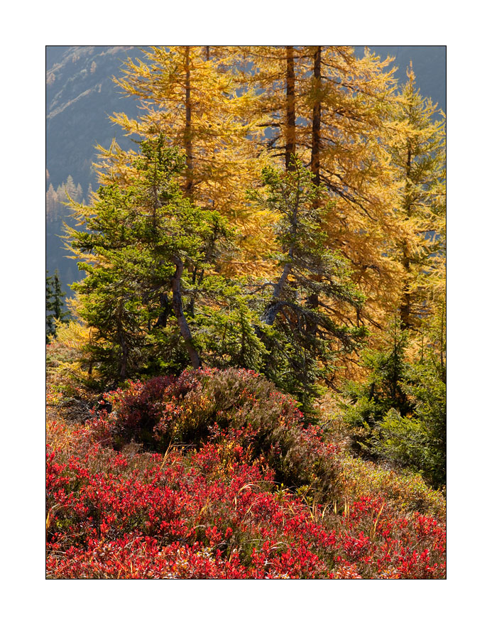 Meiental im Herbst #30539