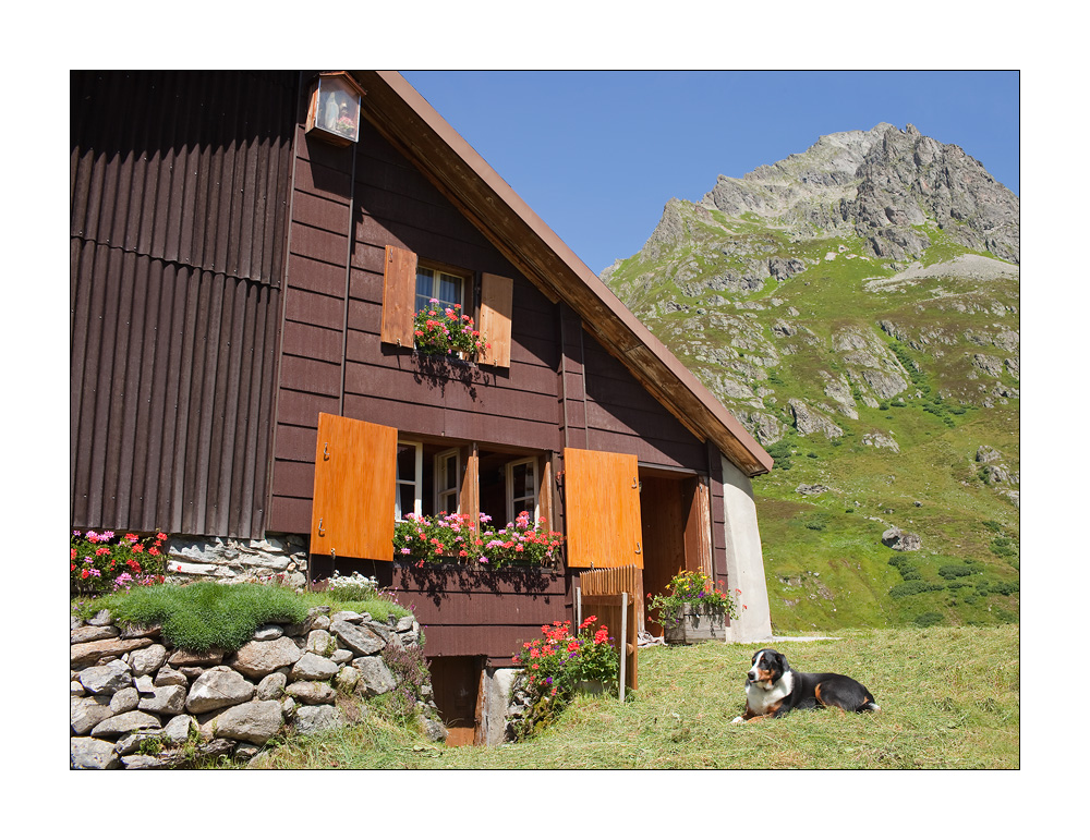 Meiental Bauernhaus Schafschijen #22657