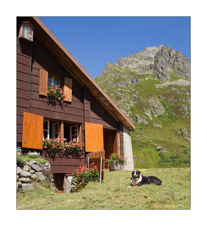 Meiental Bauernhaus Schafschijen #22658