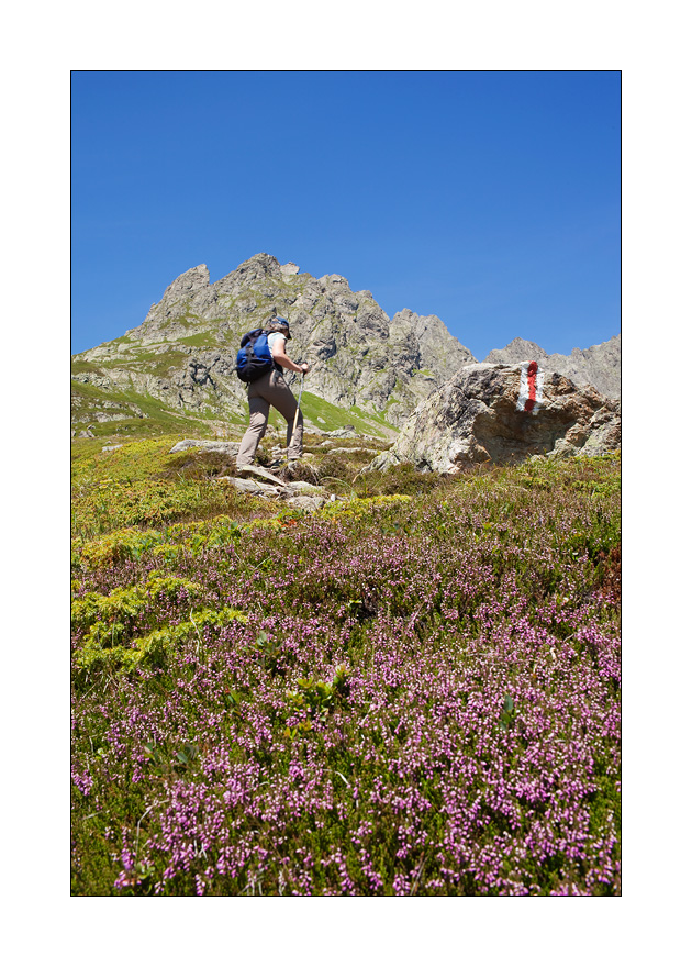 Wanderweg Sewenstock #22655