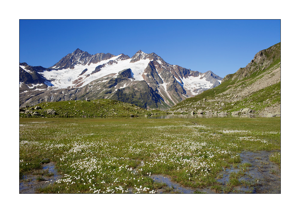 Sewenalp #22577