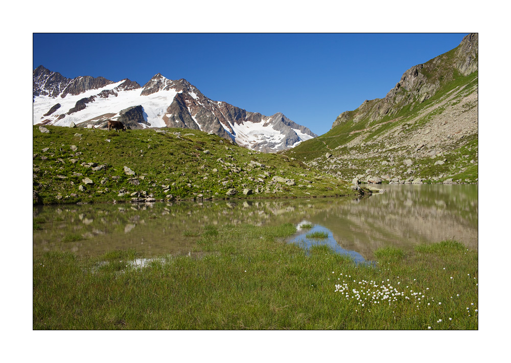 Sewenalp #22581