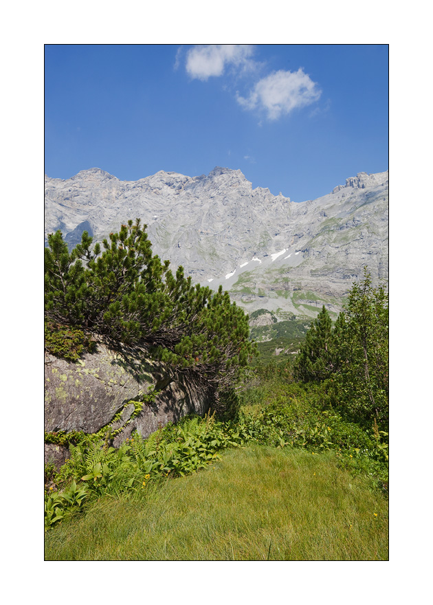 Erstfeldertal #22805