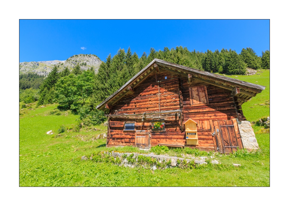 Maderanertal #36136
