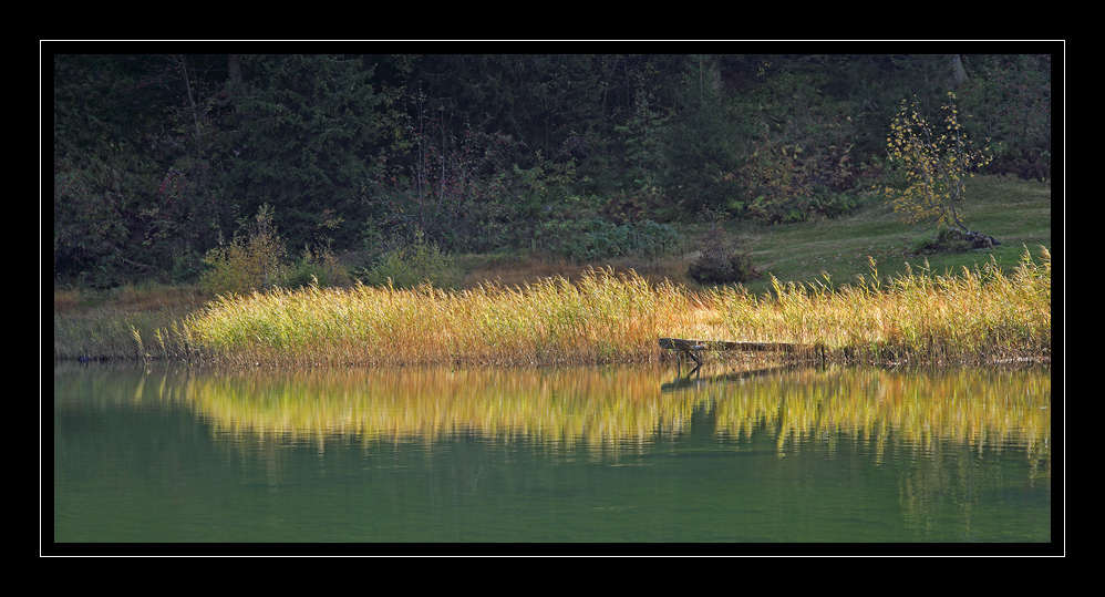 Golzernsee #4465