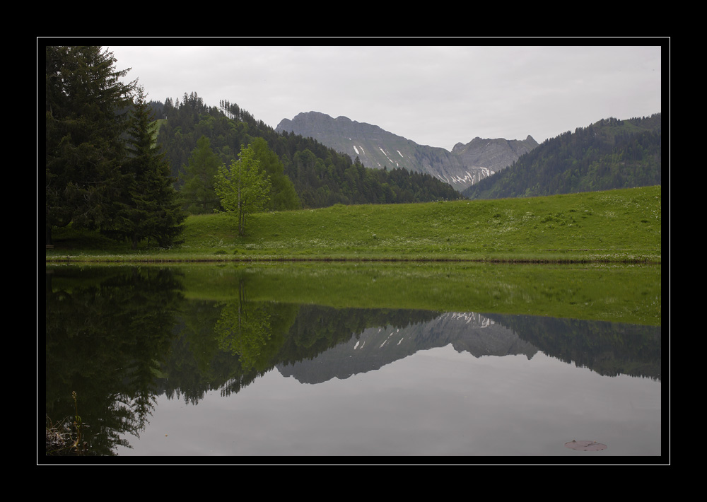 Lac des Joncs #14407